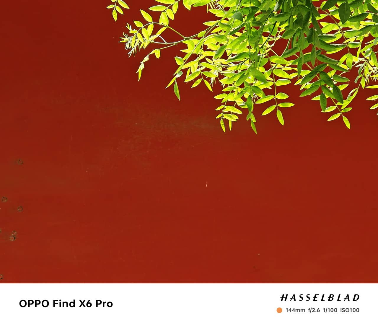 OPPO Find X6 Pro 随拍